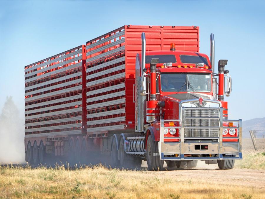  Kenworth T658 2008 года  (фото 1 из 3)